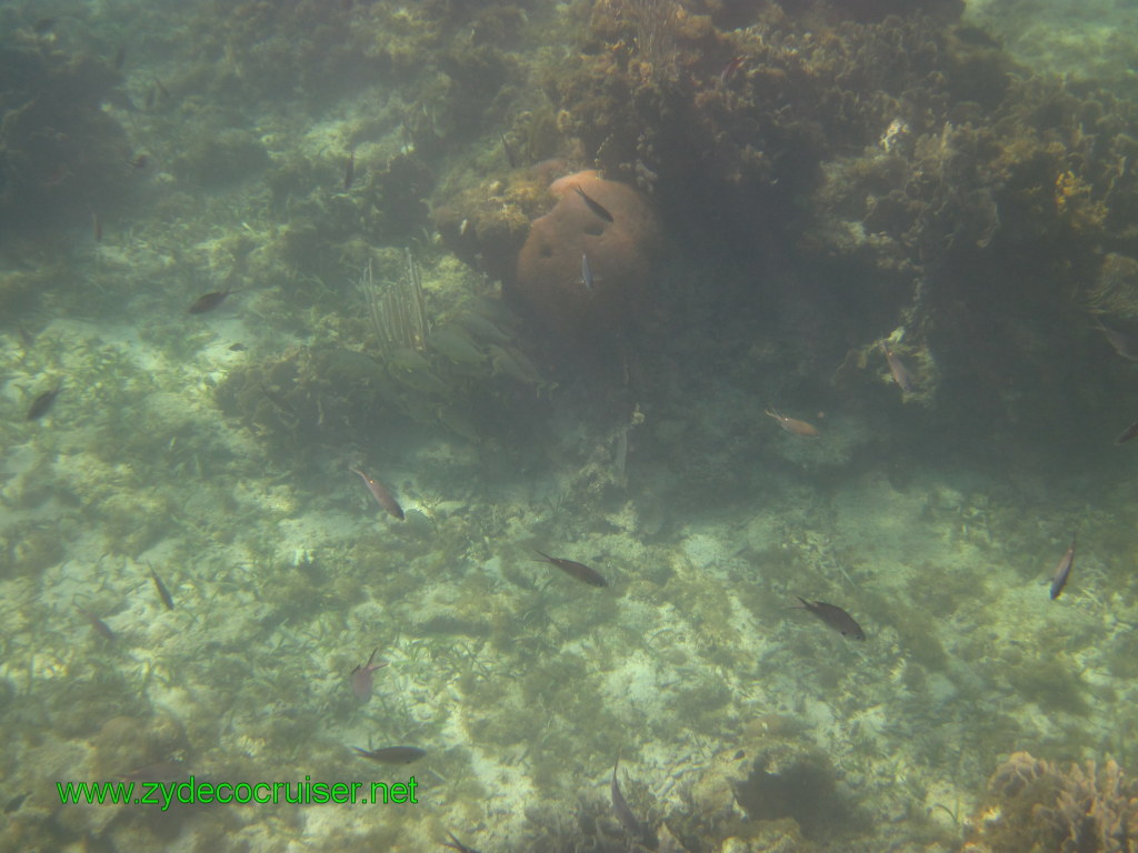 103: Carnival Conquest, Nov 17, 2011, Roatan, Victor Bodden Tour, Snorkeling, 