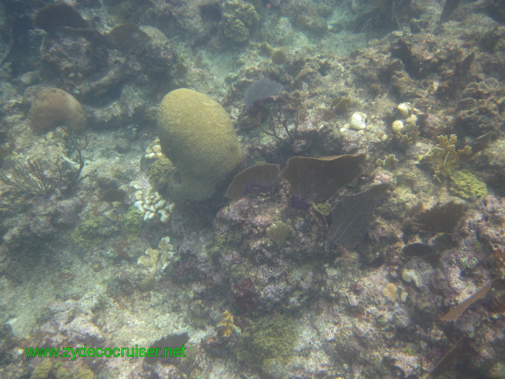 109: Carnival Conquest, Nov 17, 2011, Roatan, Victor Bodden Tour, Snorkeling, 