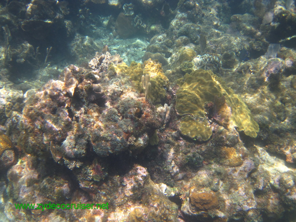 123: Carnival Conquest, Nov 17, 2011, Roatan, Victor Bodden Tour, Snorkeling, 