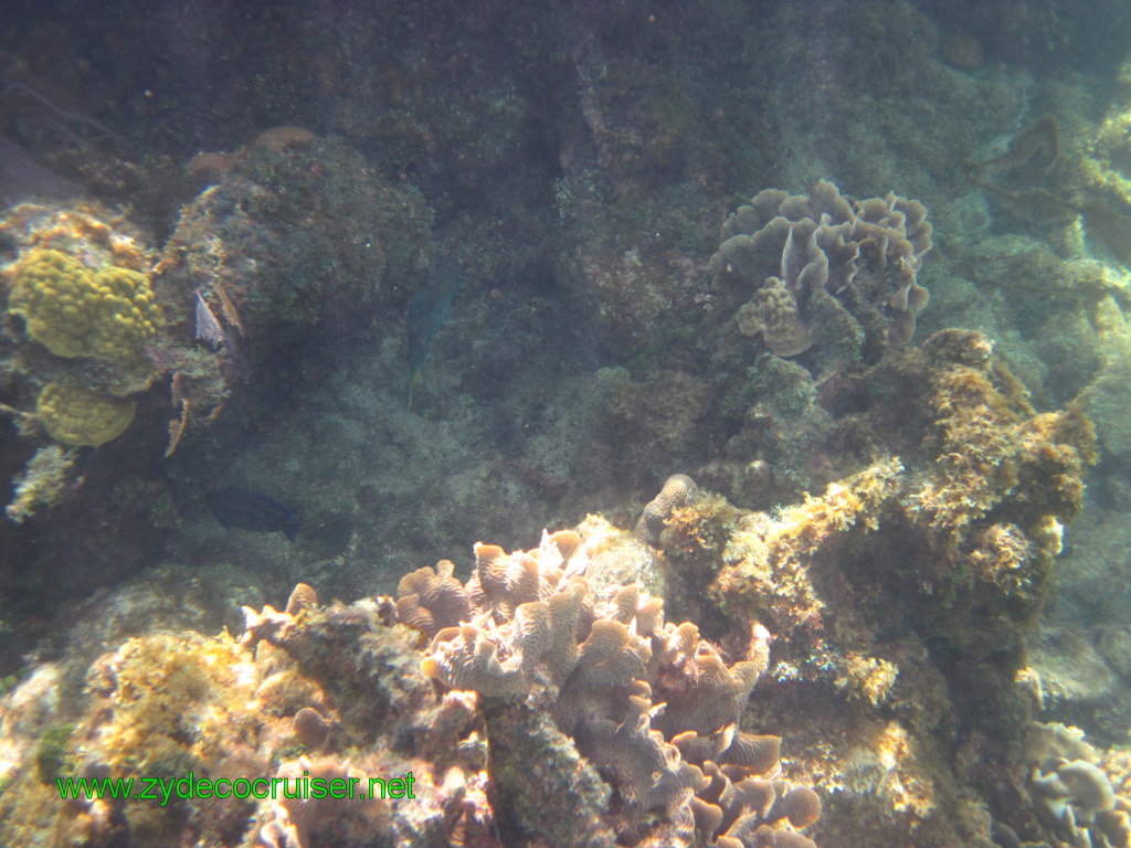 126: Carnival Conquest, Nov 17, 2011, Roatan, Victor Bodden Tour, Snorkeling, 