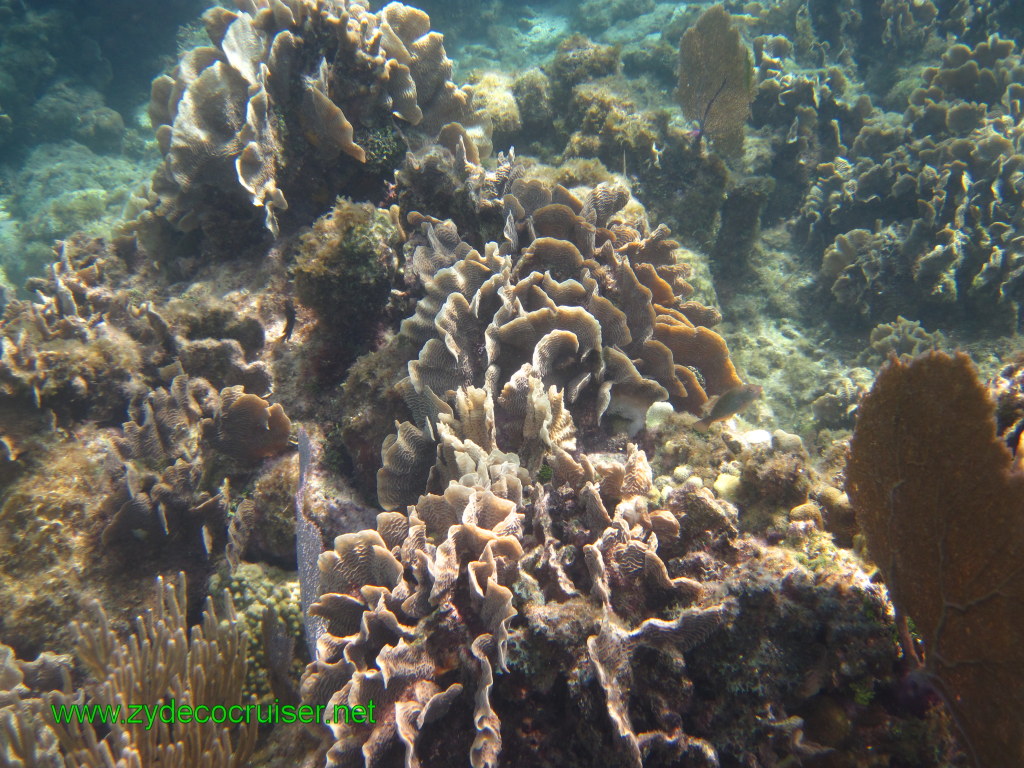 133: Carnival Conquest, Nov 17, 2011, Roatan, Victor Bodden Tour, Snorkeling, 