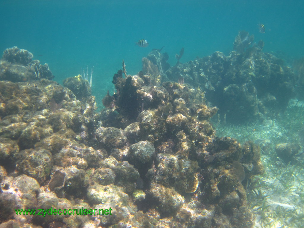 144: Carnival Conquest, Nov 17, 2011, Roatan, Victor Bodden Tour, Snorkeling, 