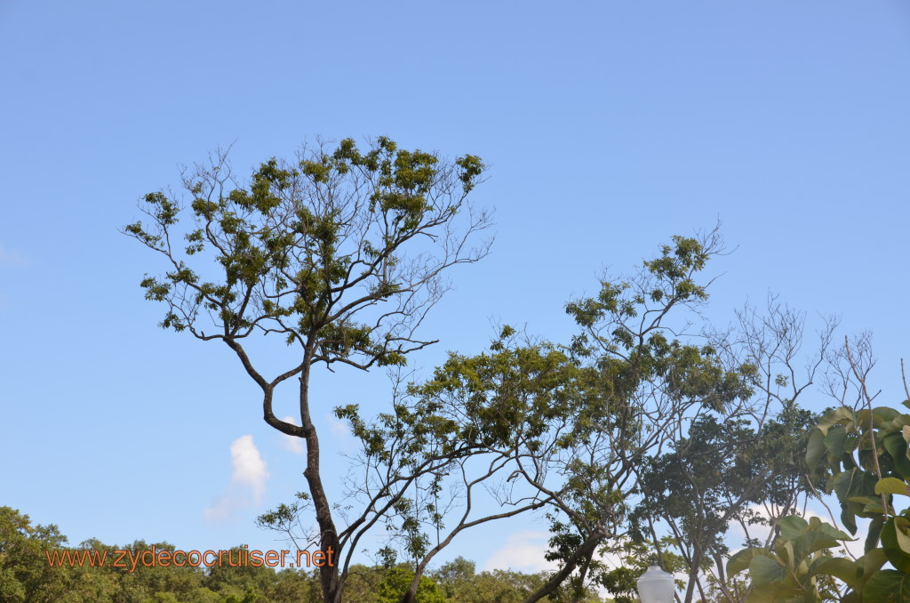 246: Carnival Conquest, Nov 17, 2011, Roatan, Mahogany Bay, 