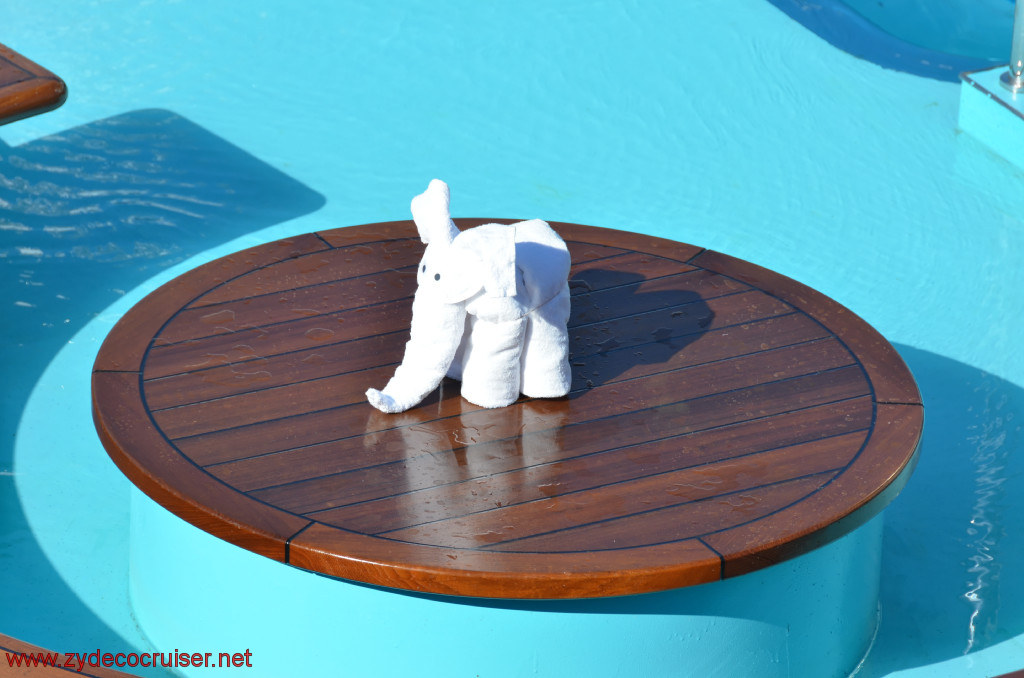 041: Carnival Conquest, Fun Day at Sea 1, Lido, Towel Elephants, 