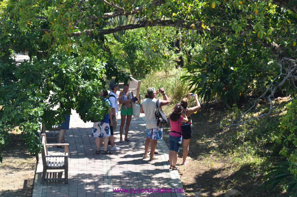 174: Carnival Conquest Cruise, Roatan, 