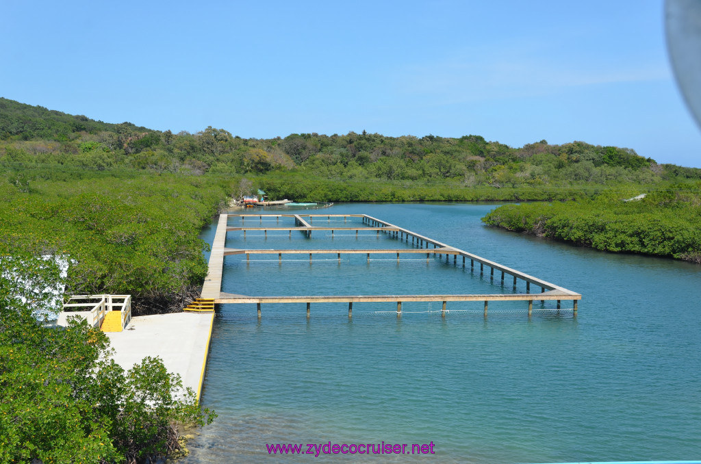 194: Carnival Conquest Cruise, Roatan, 