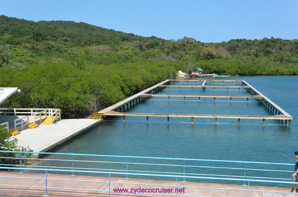 195: Carnival Conquest Cruise, Roatan, 