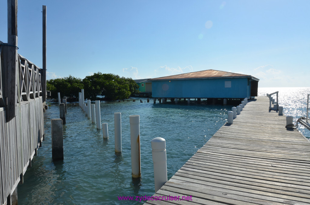 032: Carnival Conquest Cruise, Belize, Sergeant's Cay Snorkel