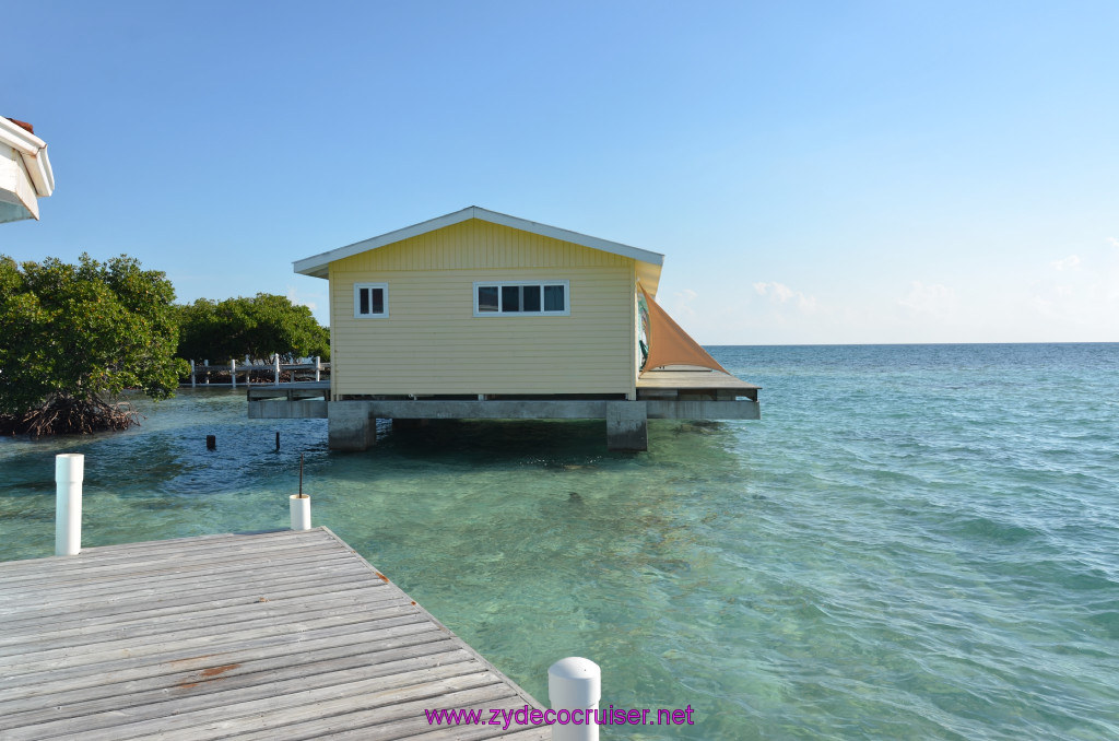 034: Carnival Conquest Cruise, Belize, Sergeant's Cay Snorkel