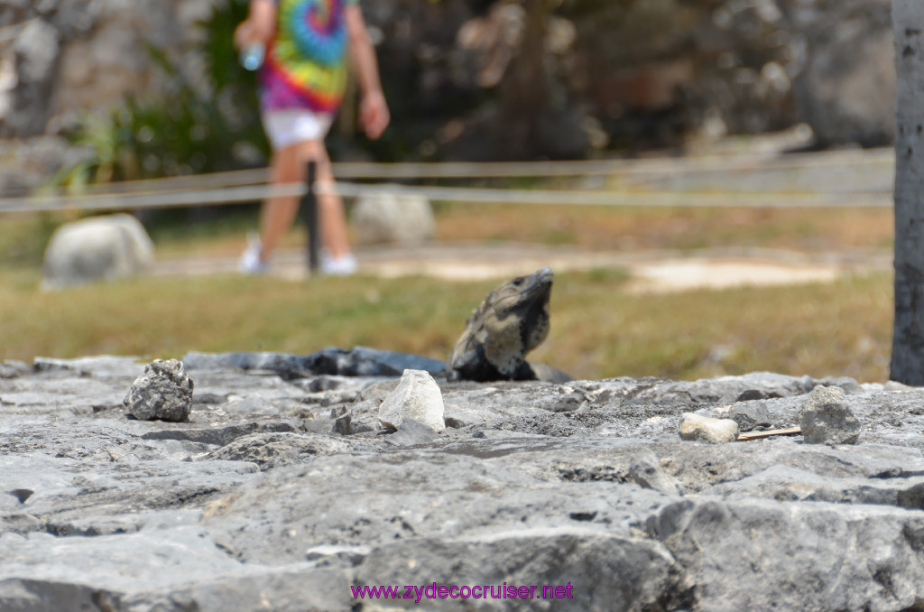 178: Carnival Conquest Cruise, 2013, Cozumel, Tulum, 