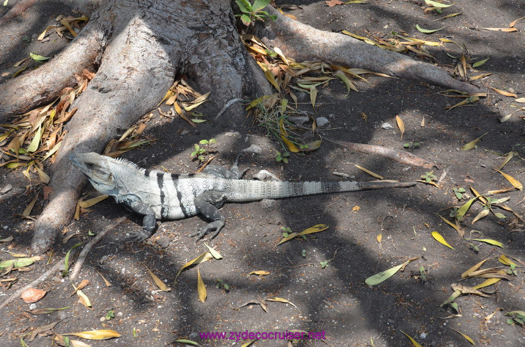 230: Carnival Conquest Cruise, 2013, Cozumel, Tulum, 