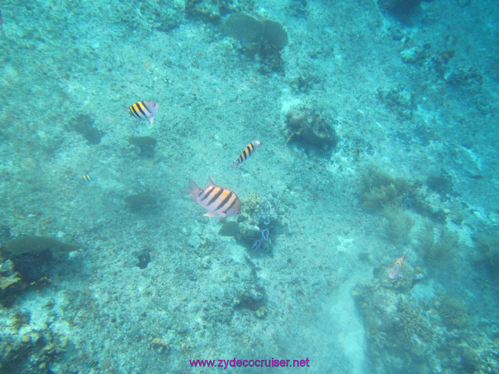 012: Carnival Dream Reposition Cruise, Cozumel, Catamaran Sail and Snorkel, 