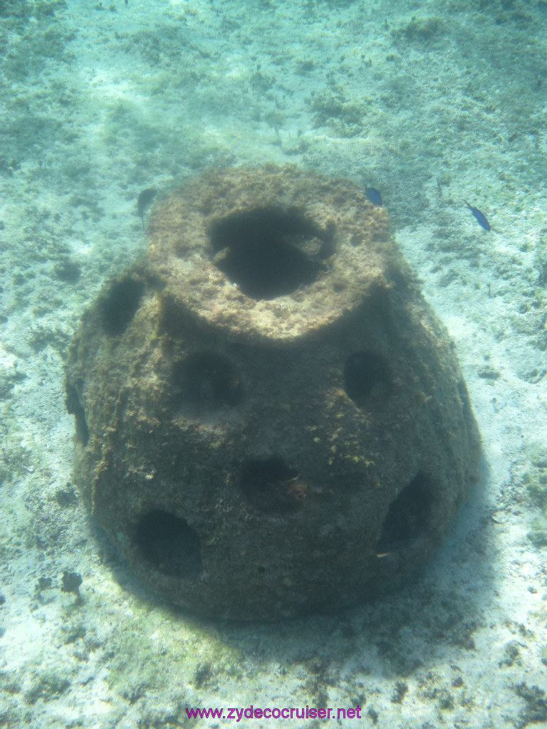 038: Carnival Elation Cruise, Cozumel, Two Reef Snorkeling by Boat, 