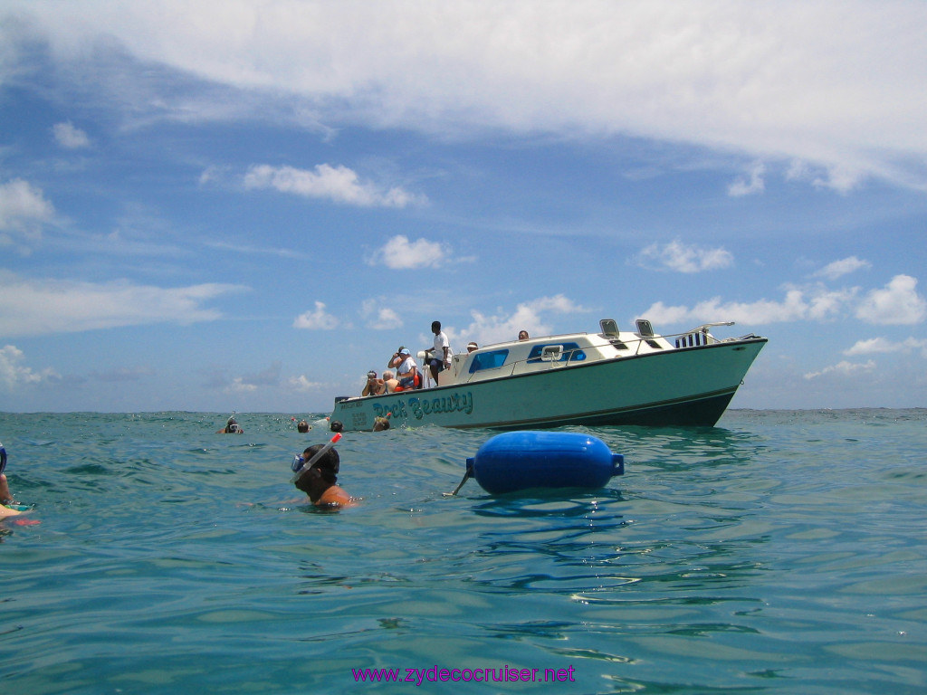 236: Carnival Elation 2004 Cruise, Belize, Shark Ray Alley and Caye Caulker, 