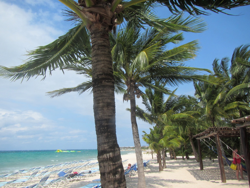 062: Carnival Elation Cruise, Cozumel, Deluxe Beach Catamaran Sail and Snorkel,