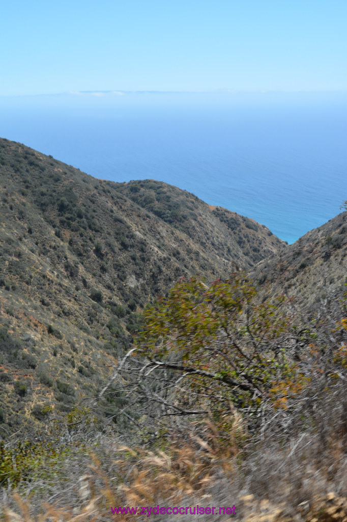 240: Carnival Imagination, Catalina, East End Adventure by Hummer, 