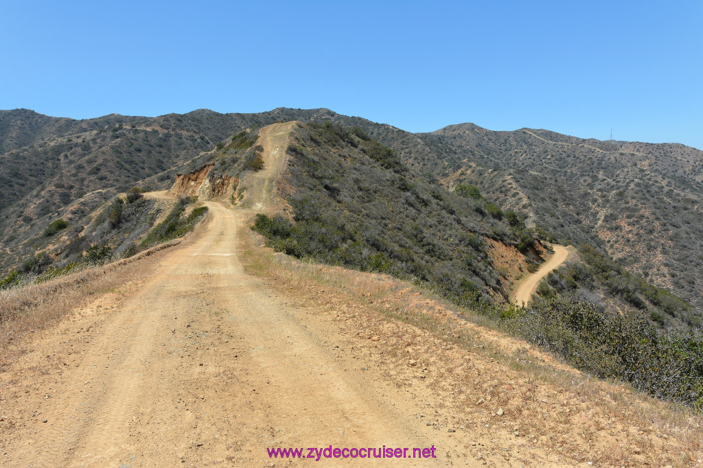 258: Carnival Imagination, Catalina, East End Adventure by Hummer, 