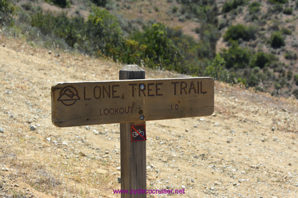 271: Carnival Imagination, Catalina, East End Adventure by Hummer, Lone Tree Trail