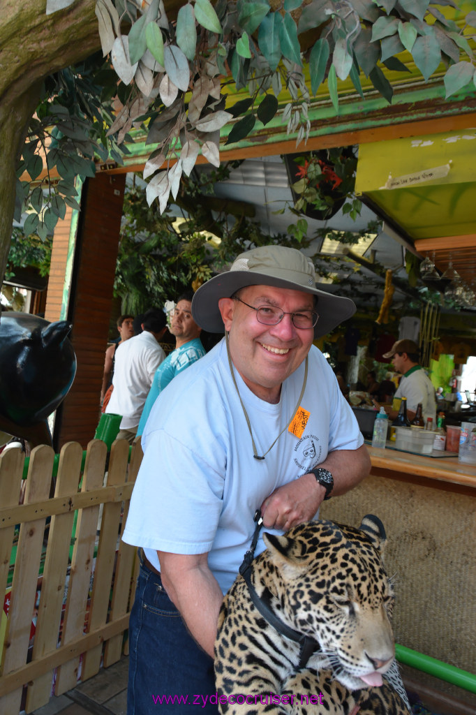 120: Carnival Imagination, Ensenada, La Bufadora Tour, A 9 month old Leopard cub