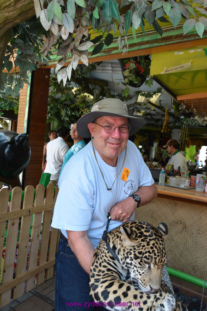 121: Carnival Imagination, Ensenada, La Bufadora Tour, A 9 month old Leopard cub