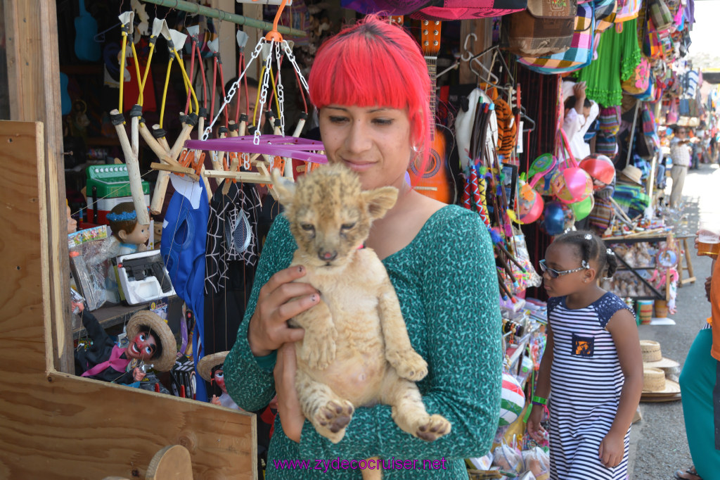 124: Carnival Imagination, Ensenada, La Bufadora Tour, A lion cub