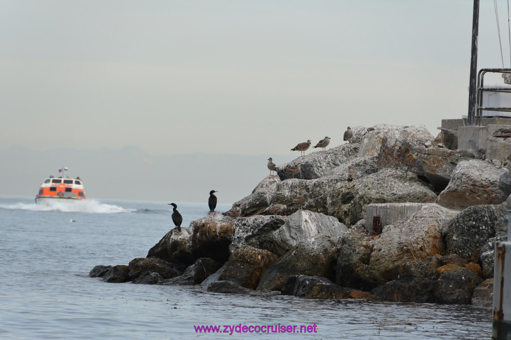 021: Carnival Inspiration, Catalina Island, 