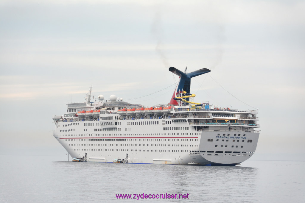 315: Carnival Inspiration, Catalina Island, Coastal Wild Dolphin Adventure, 