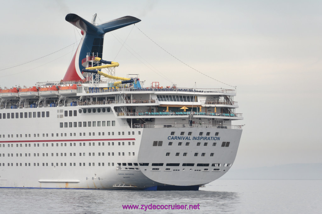 317: Carnival Inspiration, Catalina Island, Coastal Wild Dolphin Adventure, 