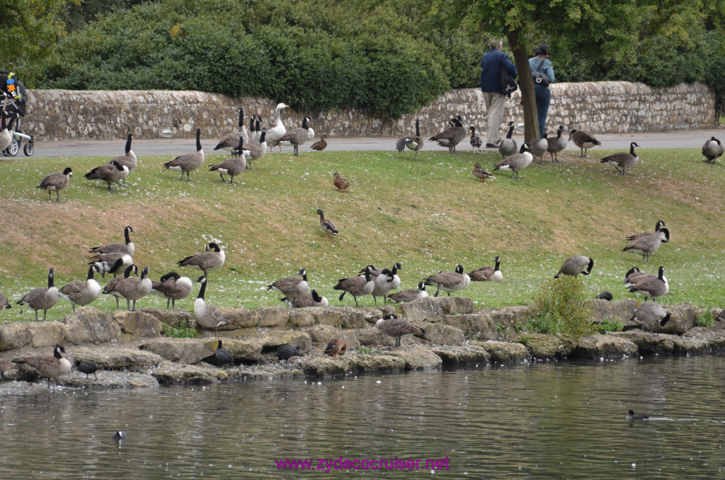 171: Dover, England, White Cliffs Geotours, Leeds Castle, 