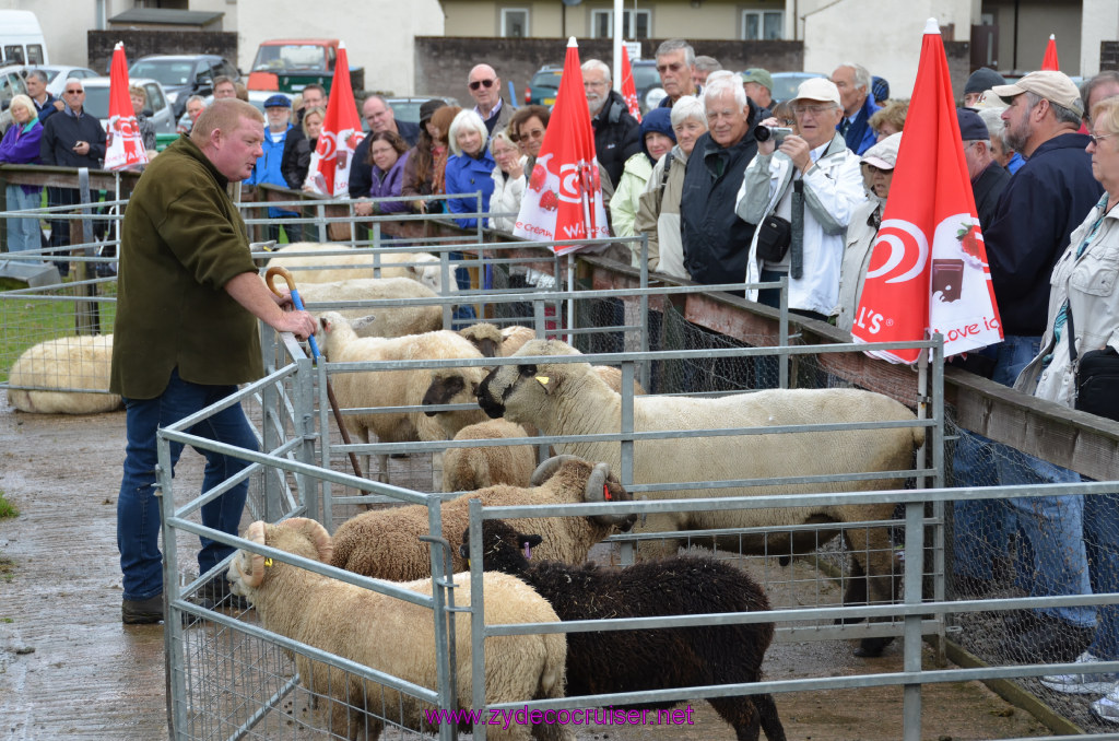 151: Carnival Legend, British Isles Cruise, Glasgow/Greenock, Aberfoyle, The Scottish Wool Centre, 