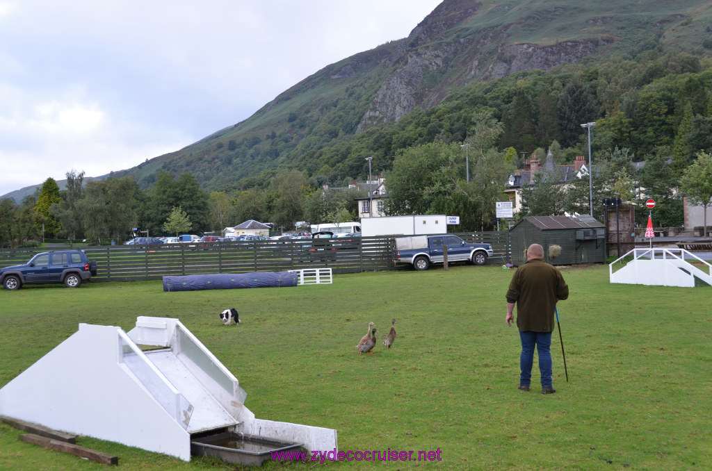 159: Carnival Legend, British Isles Cruise, Glasgow/Greenock, Aberfoyle, The Scottish Wool Centre, 