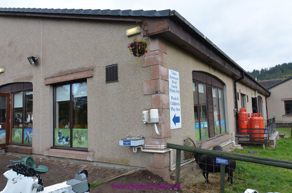 164: Carnival Legend, British Isles Cruise, Glasgow/Greenock, Aberfoyle, The Scottish Wool Centre, 