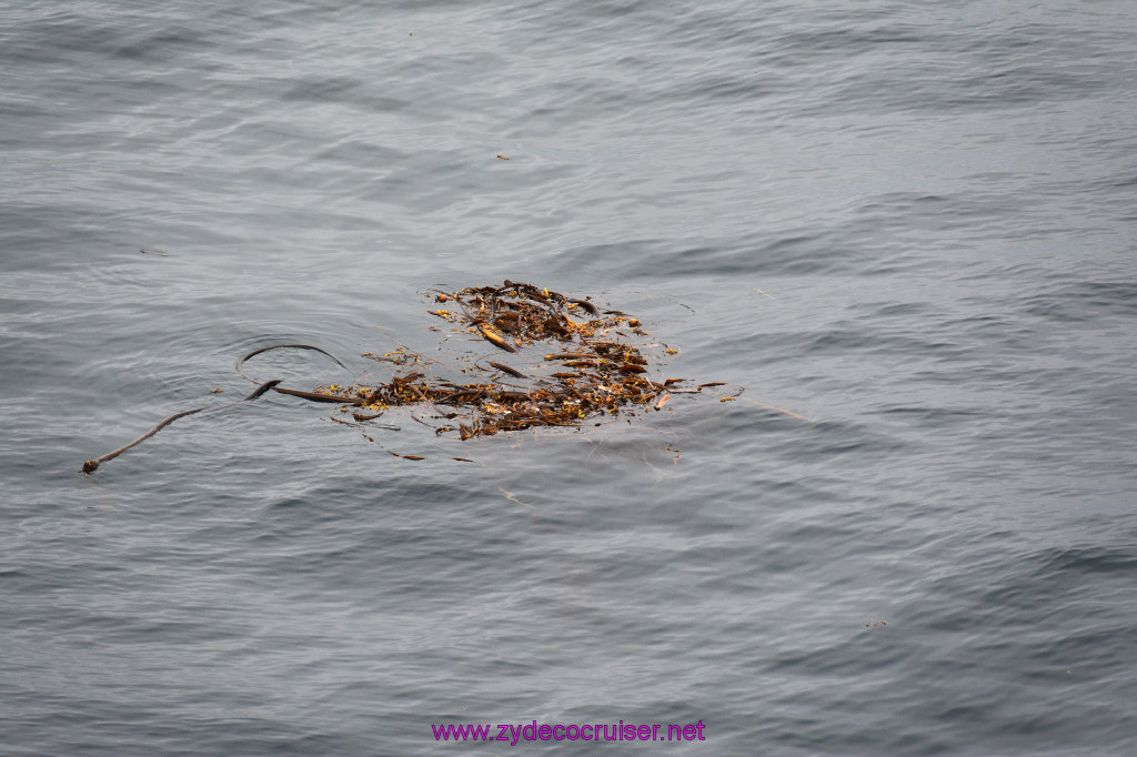 001: Carnival Miracle Alaska Cruise, Sitka,  