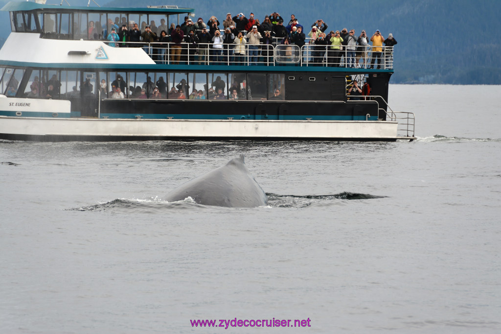 296: Carnival Miracle Alaska Cruise, Sitka, Jet Cat Wildlife Quest And Beach Exploration Excursion, 