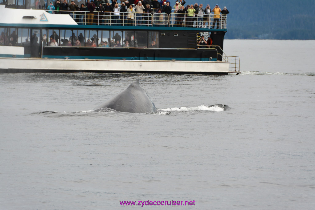 298: Carnival Miracle Alaska Cruise, Sitka, Jet Cat Wildlife Quest And Beach Exploration Excursion, 