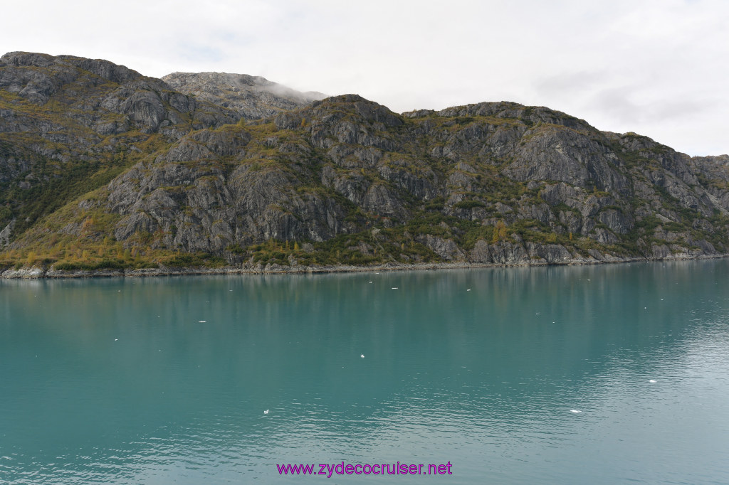 246: Carnival Miracle Alaska Cruise, Glacier Bay, 