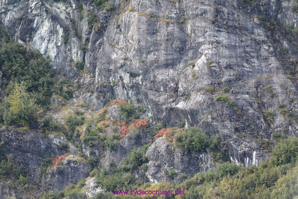 248: Carnival Miracle Alaska Cruise, Glacier Bay, 