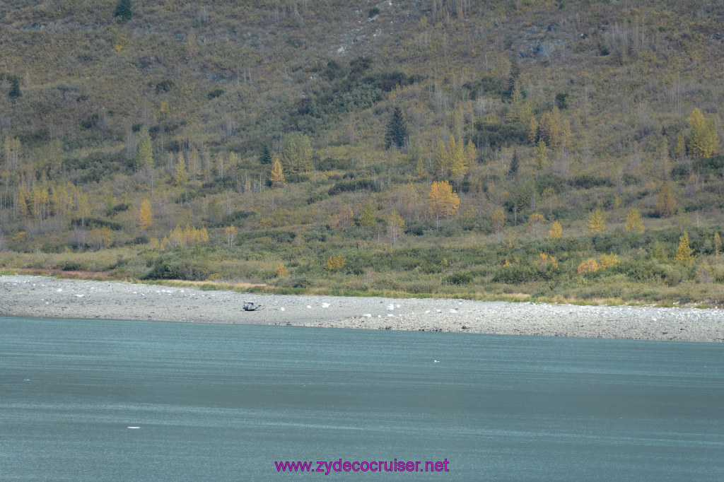 267: Carnival Miracle Alaska Cruise, Glacier Bay, 