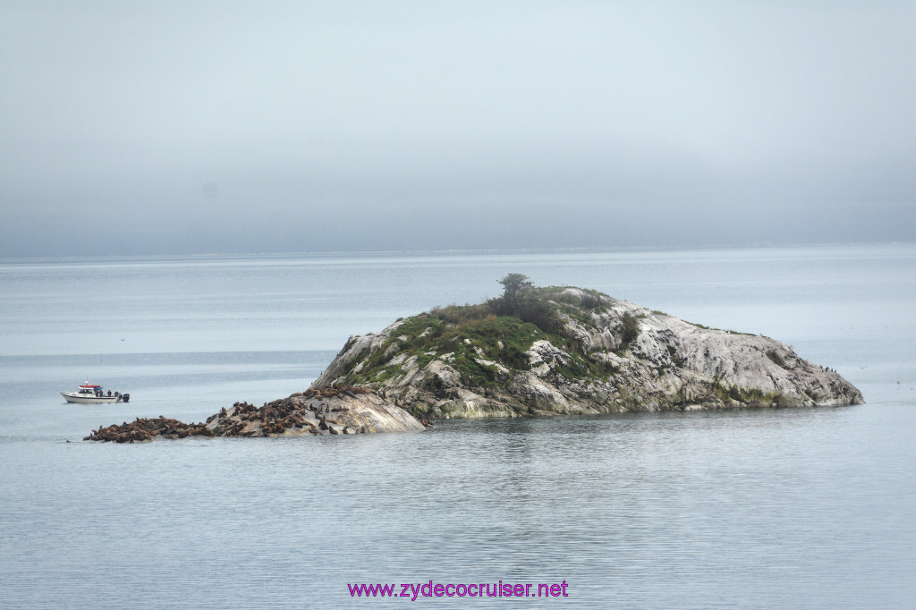 391: Carnival Miracle Alaska Cruise, Glacier Bay, 