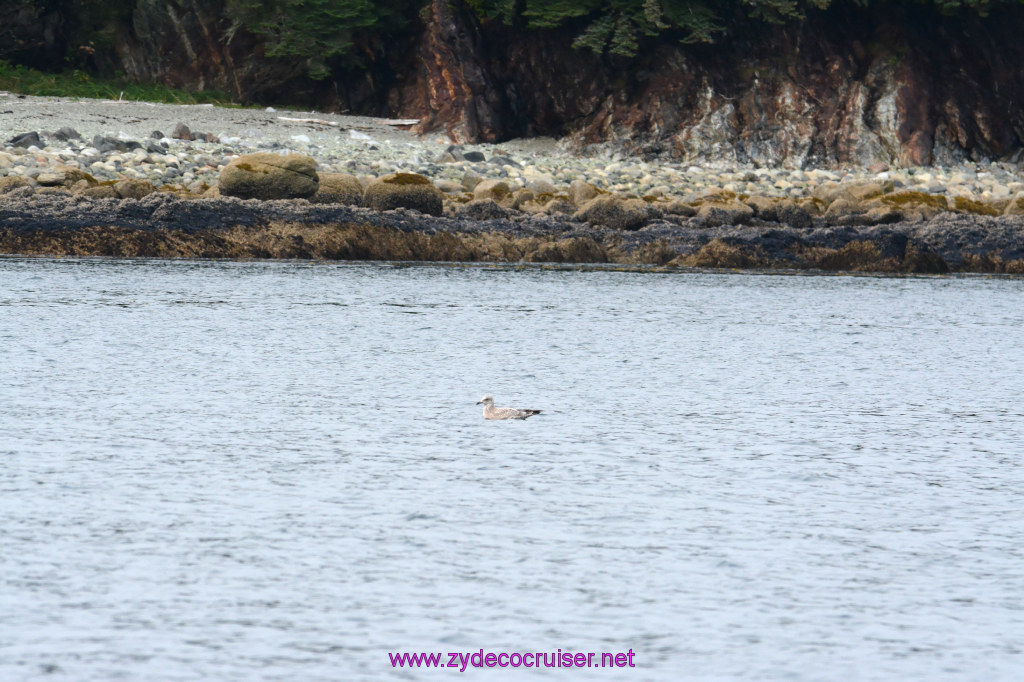 087: Carnival Miracle Alaska Cruise, Juneau, 