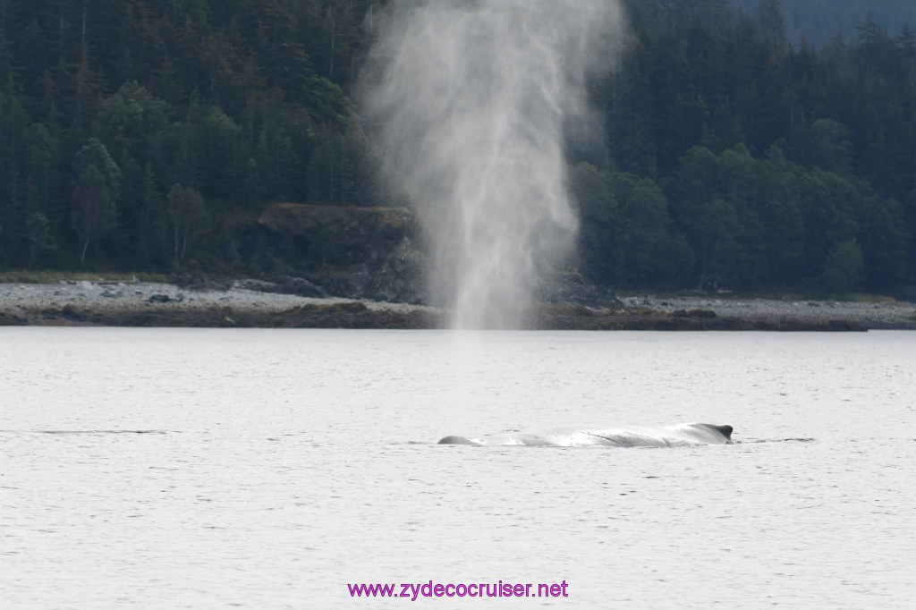 090: Carnival Miracle Alaska Cruise, Juneau, 