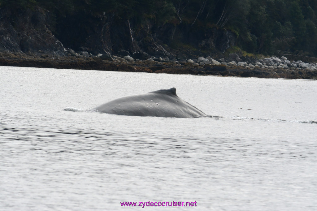 108: Carnival Miracle Alaska Cruise, Juneau, 