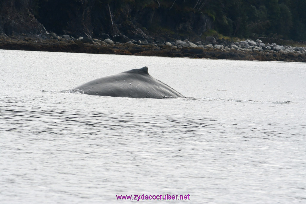 109: Carnival Miracle Alaska Cruise, Juneau, 