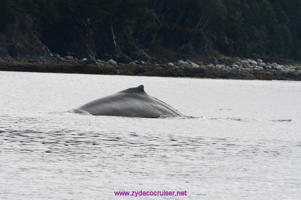 110: Carnival Miracle Alaska Cruise, Juneau, 