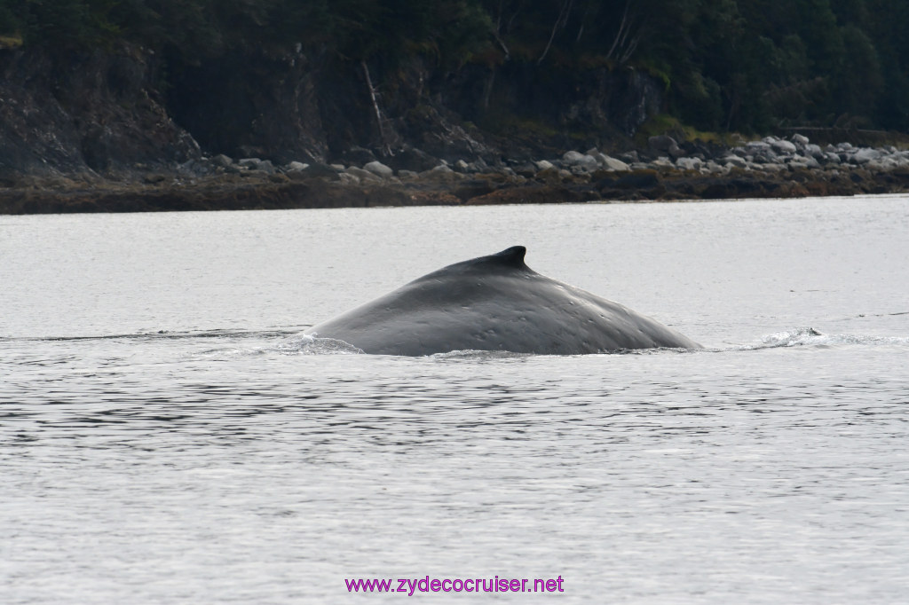 116: Carnival Miracle Alaska Cruise, Juneau, 