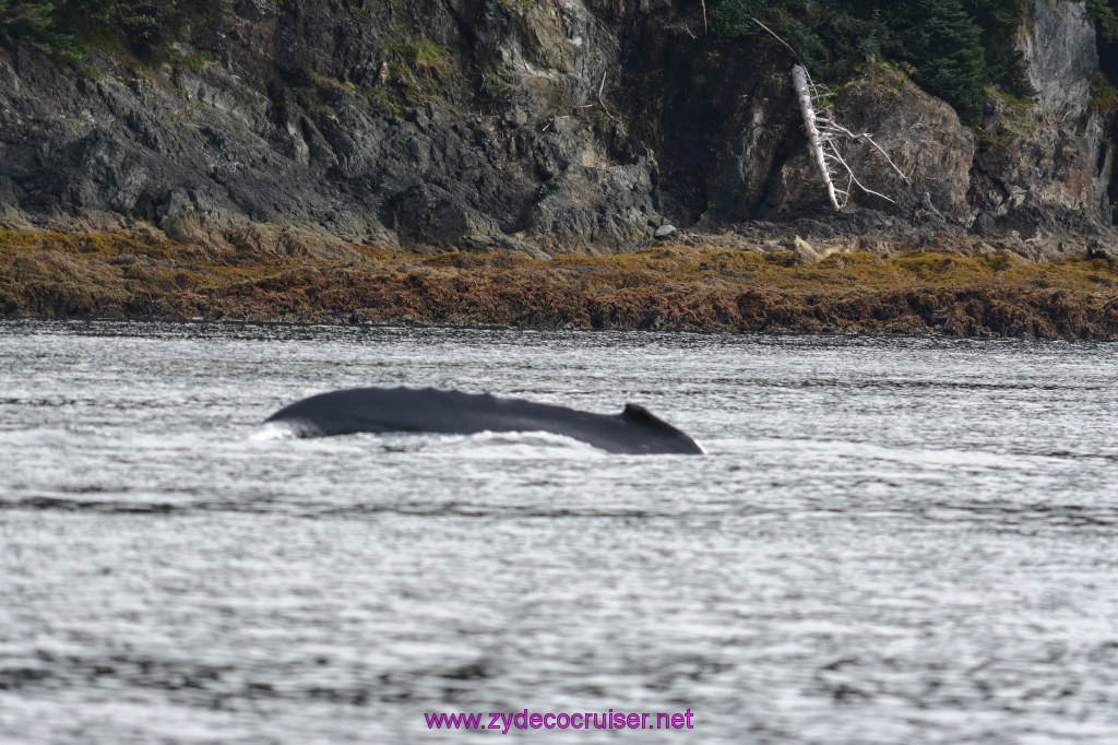 130: Carnival Miracle Alaska Cruise, Juneau, Harv and Marv's Whale Watching, 