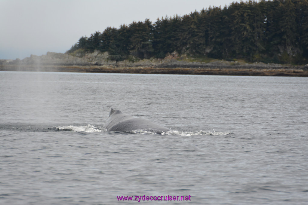 244: Carnival Miracle Alaska Cruise, Juneau, Harv and Marv's Whale Watching, 