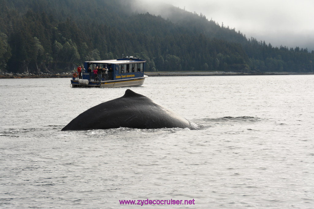 254: Carnival Miracle Alaska Cruise, Juneau, Harv and Marv's Whale Watching, 