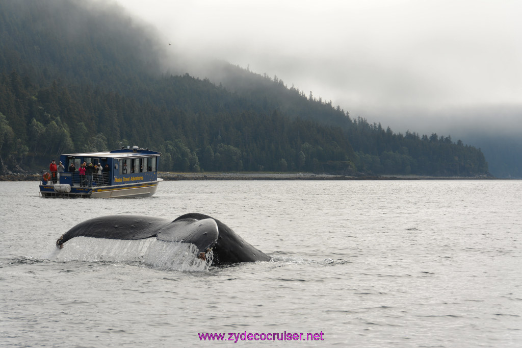 257: Carnival Miracle Alaska Cruise, Juneau, Harv and Marv's Whale Watching, 