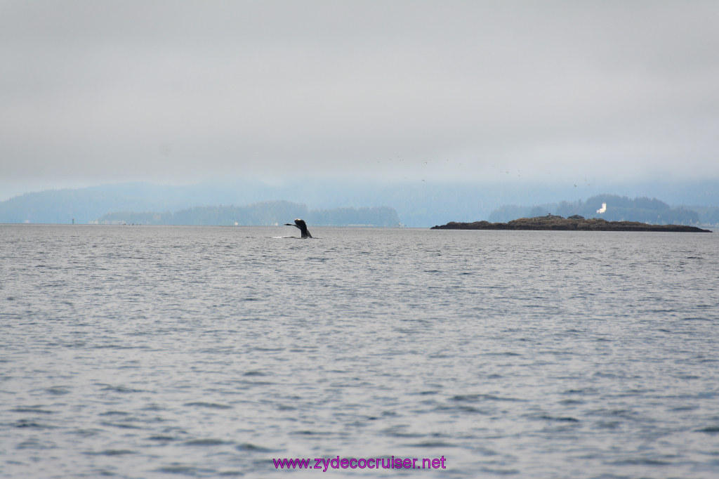 328: Carnival Miracle Alaska Cruise, Juneau, Harv and Marv's Whale Watching, 